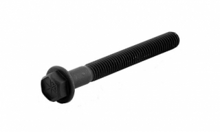 ΒΙΔΑ ΚΥΛΙΝΔΡΟΚΕΦΑΛΗΣ