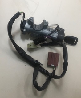 Land Rover Lock assembly-steering column (STC1435)