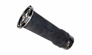 AIR SPRING ASSY REAR