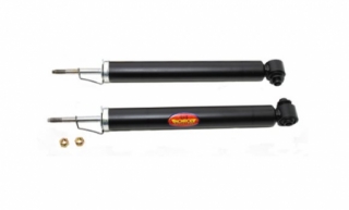 ΑΜΟΡΤΙΣΕΡ ΠΙΣΩ