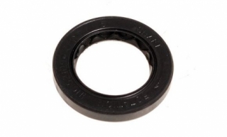 ΤΣΙΜΟΥΧΑ ΣΑΣΜΑΝ